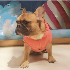🐶2/$25 Dog jacket vest pink size Medium